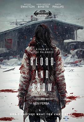 血与雪的海报